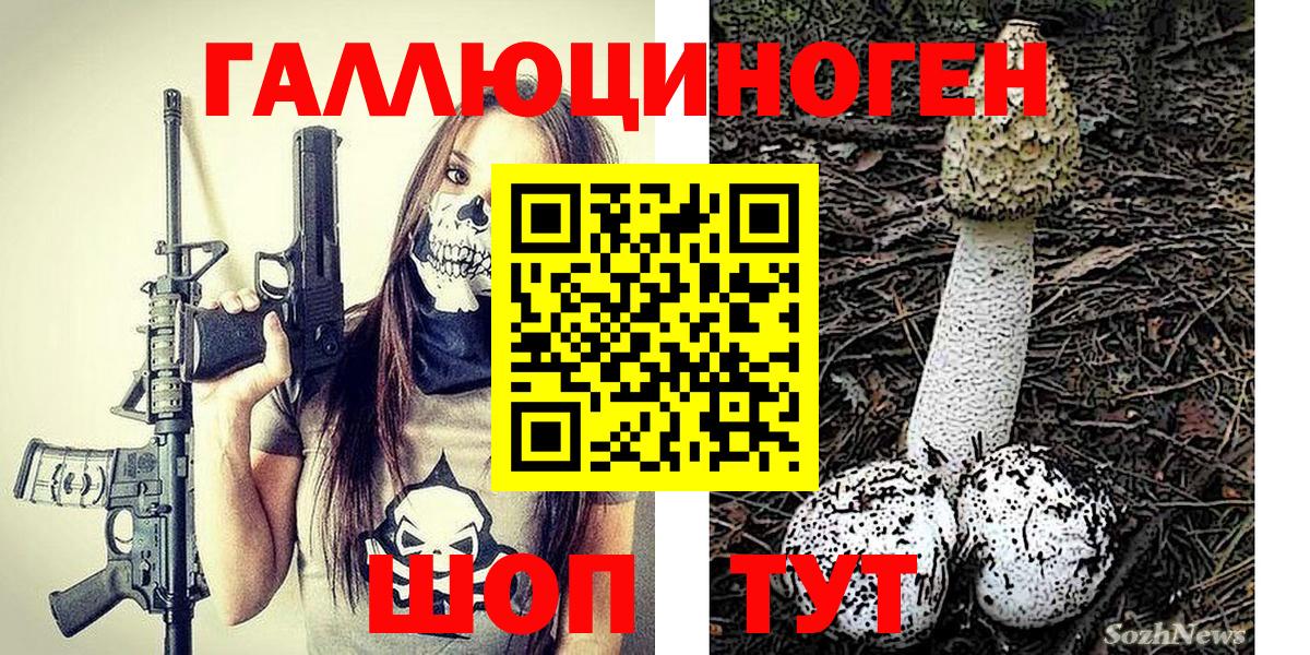 Псилоцибиновые грибы GOLDEN TEACHER Дубна